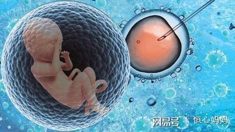 关于供卵代怀公司